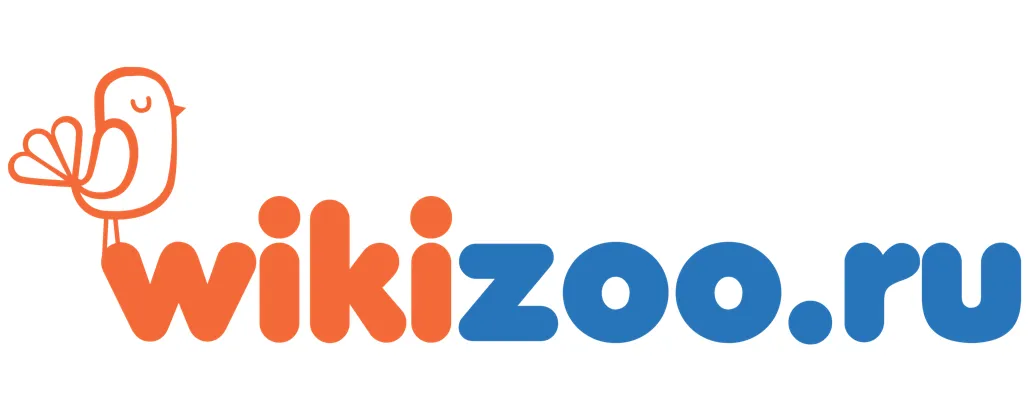WikiZoo Coupons